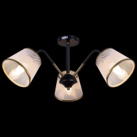 Потолочная люстра Illumico IL0344-3CSQ-79 BK AB  фото, kupilegko.ru