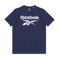 Футболка REEBOK Identity Big Logo RBHD4220 315569 SP  фото, kupilegko.ru