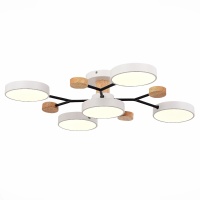 Потолочная светодиодная люстра Evoluce FAEMA SLE6006-502-05  фото, kupilegko.ru