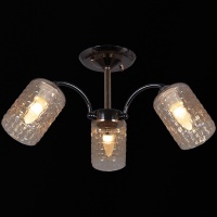 Потолочная люстра Reluce 31020-0.3-03  фото, kupilegko.ru