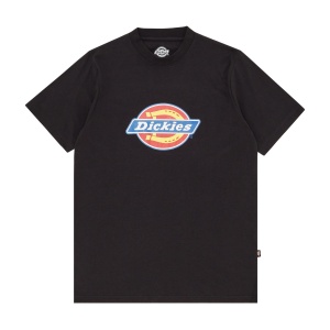Футболка DICKIES ICON LOGO TEE W BLACK DK0A4XCA 351345 SP  фото, kupilegko.ru