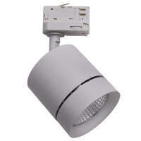 Трековый светильник Lightstar Canno 301594  фото, kupilegko.ru