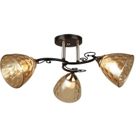 Потолочная люстра Reluce 04522-0.3-03  фото, kupilegko.ru