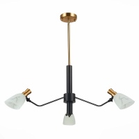 Подвесная люстра Evoluce Lita SLE205403-03  фото, kupilegko.ru