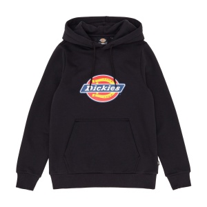 Толстовка худи DICKIES ICON LOGO HOODIE W BLACK DK0A4XCC 351352 SP  фото, kupilegko.ru