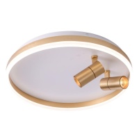 Потолочная светодиодная люстра Zortes ZRS.1888.02  фото, kupilegko.ru