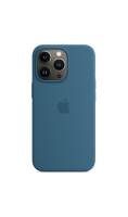 Чехол-крышка Apple MM2G3ZE/A MagSafe для iPhone 13 Pro, силикон, полярная лазурь  фото, kupilegko.ru