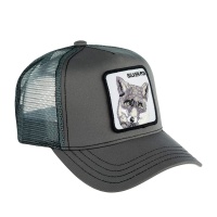 Кепка бейсболка GOORIN BROTHERS FOX GB91650 328728 SP  фото, kupilegko.ru