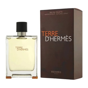 Мужская туалетная вода, парфюм HERMÈS HERMES Terre D'Hermes 141200736 LT  фото, kupilegko.ru