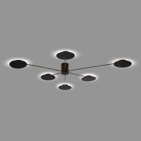 Потолочная светодиодная люстра ST Luce SL6006.402.06  фото, kupilegko.ru