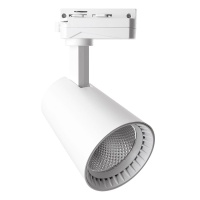 Трековый светодиодный светильник Feron AL100 41605  фото, kupilegko.ru