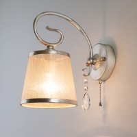 Бра, светильник настенный накладной Eurosvet 60065/1 серебро  фото, kupilegko.ru