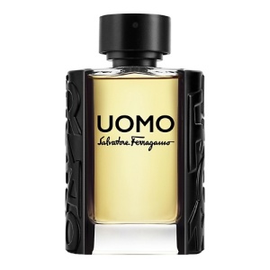 Мужская туалетная вода, парфюм SALVATORE FERRAGAMO Uomo 46500102 LT  фото, kupilegko.ru