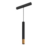 Трековый светодиодный светильник Arlight Mag-Spot-Hang-25-R30-5W Warm3000 034244  фото, kupilegko.ru