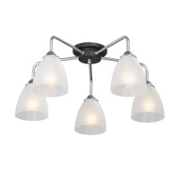 Потолочная люстра Vitaluce V4500-9/5PL  фото, kupilegko.ru