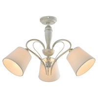 Потолочная люстра Lussole Lgo GRLSP-8061  фото, kupilegko.ru