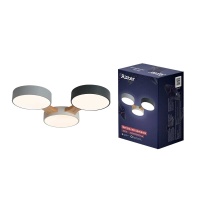 Потолочная люстра Ritter SCANDIA 52070 2  фото, kupilegko.ru