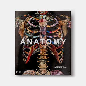 Anatomy: Exploring the Human Body Книга Phaidon  фото, kupilegko.ru