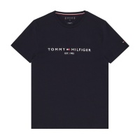 Футболка TommyHilfiger CORE TOMMY LOGO TEE TMMW0MW11465 360730 SP  фото, kupilegko.ru