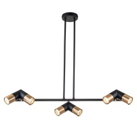 Подвесная люстра Indigo Doppio 11036/6R Black V000452  фото, kupilegko.ru