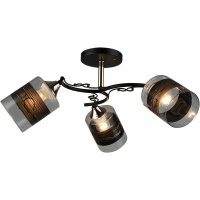 Потолочная люстра Reluce 04846-0.3-03  фото, kupilegko.ru