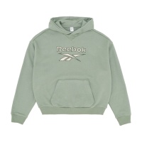 Толстовка худи REEBOK CLASSICS AE BIG LOGO FIT HOODIE RBHZ4509 333370 SP  фото, kupilegko.ru