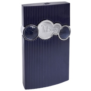 Мужская парфюмерная вода AFNAN Tribute Blue Box 139200055 LT  фото, kupilegko.ru
