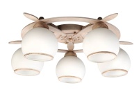 Потолочная люстра Omnilux OML-50517-05  фото, kupilegko.ru