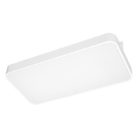 Трековый светодиодный светильник Arlight LGD-Afina-4TR-S600x300-50W White6000 035493  фото, kupilegko.ru
