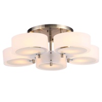 Потолочная люстра Evoluce Foresta SL483.352.05  фото, kupilegko.ru