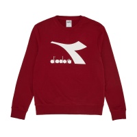 Толстовка свитшот DIADORA SWEATSHIRT CREW CORE DR102179956 356560 SP  фото, kupilegko.ru