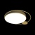 Потолочный светодиодный светильник Loft IT Mike 10063  фото, kupilegko.ru