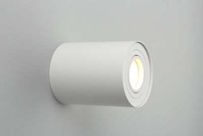 Потолочный светильник Omnilux Pantaleo OML-101009-01  фото, kupilegko.ru