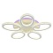 Потолочная светодиодная люстра Profit Light 8033/5 WHT  фото, kupilegko.ru