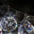 Потолочный светильник Artglass Fiona II. Nickel CE  фото, kupilegko.ru