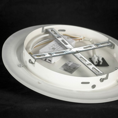 Потолочный светодиодный светильник Lussole Lgo LSP-8463  фото, kupilegko.ru