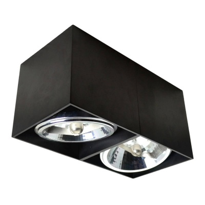 Потолочный светильник Zumaline Box sl2 90433-G9  фото, kupilegko.ru