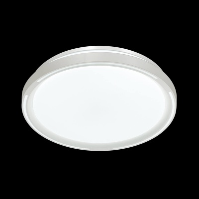 Настенно-потолочный светильник Sonex Slot 3028/DL  фото, kupilegko.ru