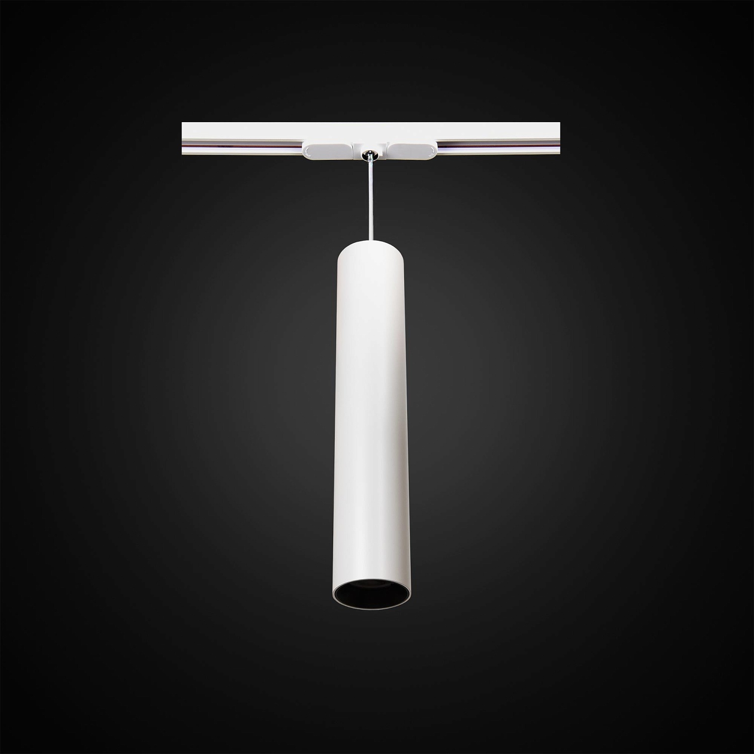 Трековые светильники Citilux Тубус CL01PT120  фото, kupilegko.ru