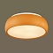 Потолочный светильник Lumion Timo 4414/3C
