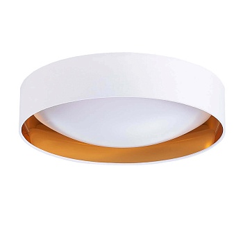 Потолочный светодиодный светильник Evoluce Orbio SLE201122-01  фото, kupilegko.ru