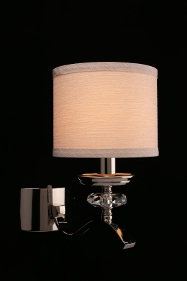 Бра, светильник настенный накладной Aployt APL.715.01.01  фото, kupilegko.ru