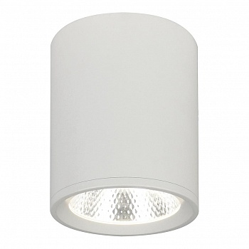 Потолочный светодиодный светильник Escada 20003SMU/02LED SWH  фото, kupilegko.ru