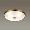 Потолочный светильник Odeon Light Pelow 4956/5