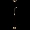 Торшер Arte Lamp Duetto A4329PN-2AB  фото, kupilegko.ru