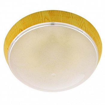 Потолочный светильник Horoz Уфо Ерджиес 400-224-101 HRZ00001460  фото, kupilegko.ru