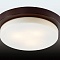Потолочный светильник Odeon Light Holger 2744/3C