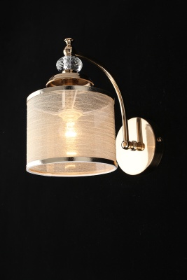 Бра, светильник настенный накладной Aployt APL.720.01.01  фото, kupilegko.ru