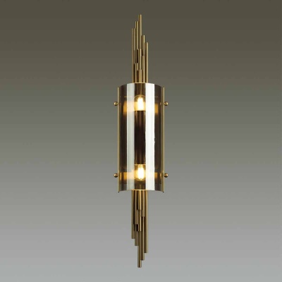 Бра, светильник настенный накладной Odeon Light 4895/2W  фото, kupilegko.ru