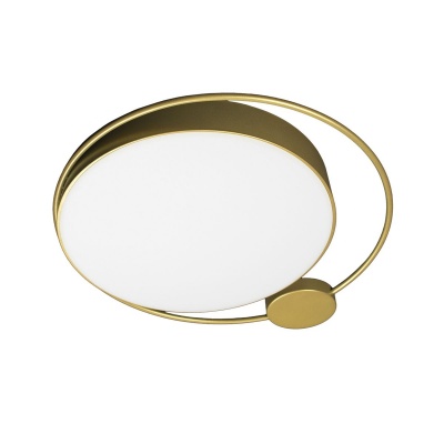 Потолочный светодиодный светильник Loft IT Mike 10063  фото, kupilegko.ru